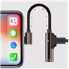 Lightning to audio jack and charger