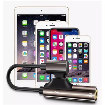 Lightning to audio jack and charger