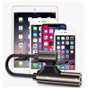 Lightning to audio jack and charger